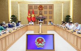 Huy động sức mạnh toàn xã hội, khuyến khích người dân đầu tư, sản xuất, góp phần phát triển đất nước