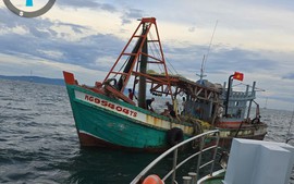 An Giang: Cao điểm xử lý tàu cá vi phạm khai thác thủy sản bất hợp pháp