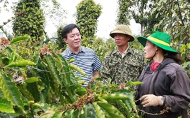 Bình Điền: Hành trình hơn nửa thế kỷ phụng sự nông dân và tầm nhìn tiên phong xanh hóa - số hóa