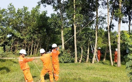 Ngành điện miền Trung triển khai ứng phó khẩn cấp với bão số 5