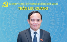 INFOGRAPHICS: Tóm tắt tiểu sử Tân Bí thư Thành uỷ Thành phố Hồ Chí Minh Trần Lưu Quang