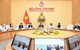 Thúc đẩy đàm phán FTA Việt Nam – MERCOSUR, mở rộng cánh cửa thị trường Mỹ Latin