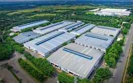 Trình xin ý kiến Quốc hội về xử lý số nợ tiền thuê đất của đơn vị sự nghiệp công lập
