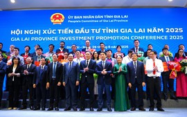Gia Lai thu hút dòng vốn đăng ký đầu tư hơn 119.000 tỷ đồng