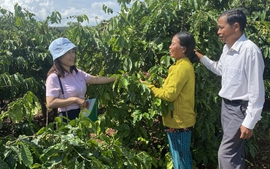 Đak Đoa thoát nghèo, làm giàu, xây dựng nông thôn mới