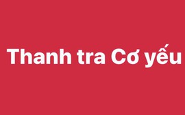 Chức năng, nhiệm vụ của Thanh tra Cơ yếu, Thanh tra được thành lập theo điều ước quốc tế