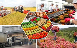 Đơn giản hóa thủ tục hành chính về nông nghiệp và môi trường