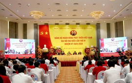 Ngân hàng Phát triển Việt Nam khẳng định vai trò định chế tài chính của Chính phủ