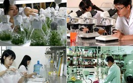 Điều kiện thành lập tổ chức khoa học và công nghệ