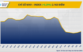 Sắc xanh lan tỏa, chỉ số MXV-Index tiếp đà phục hồi