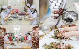 Dự kiến 13 nhiệm vụ của Bệnh viện Y học cổ truyền
