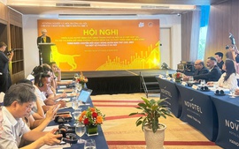 Thí điểm mô hình phòng bệnh dại và hỗ trợ chuyển đổi kinh doanh thịt chó, mèo