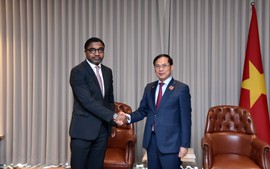 Triển khai hiệu quả thỏa thuận hợp tác dầu khí giữa Việt Nam và Angola