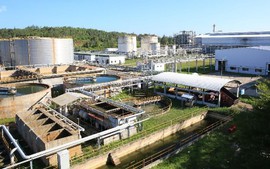 Tái khởi động nhà máy nhiên liệu sinh học Dung Quất vào tháng 11/2025