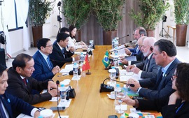 Thúc đẩy đàm phán FTA với Mercosur và GCC: Cơ hội mới cho thương mại Việt Nam