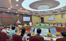 Tháo gỡ khó khăn, vướng mắc trong lĩnh vực nông nghiệp và môi trường tại Quảng Ngãi