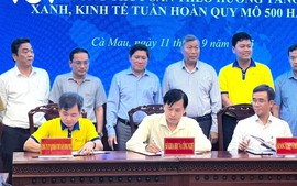Cà Mau triển khai mô hình 1.500 ha tôm siêu thâm canh