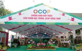 Thương mại Đồng Tháp: Tăng tốc số hóa, mở rộng chuỗi giá trị