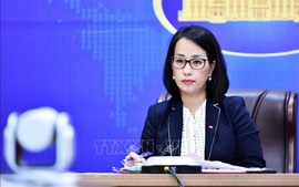 Việt Nam lên án hành vi vi phạm chủ quyền và toàn vẹn lãnh thổ