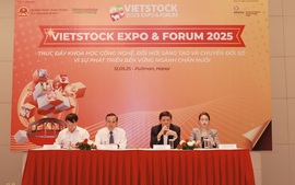 Vietstock 2025 dự kiến thu hút trên 13.000 khách tham quan chuyên ngành từ 40 quốc gia