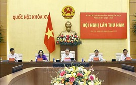 Hội nghị lần thứ Năm, Ban Chấp hành Đảng bộ Quốc hội