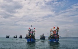 Trao văn kiện phê chuẩn lên WTO, Việt Nam chung tay 'kích hoạt' Hiệp định Trợ cấp Nghề cá