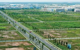 Tháo gỡ vướng mắc triển khai các dự án trong thời gian chờ điều chỉnh Quy hoạch sử dụng đất quốc gia