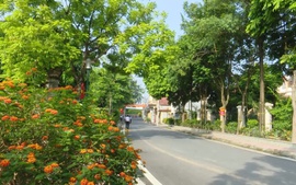 Đan Phượng - Phát triển nông thôn mới kiểu mẫu gắn với lộ trình đô thị văn minh
