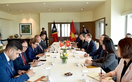 Việt Nam sẵn sàng hỗ trợ Timor-Leste tham gia hiệu quả vào Cộng đồng ASEAN