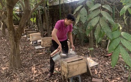 Khẳng định thương hiệu nông sản sạch từ sản phẩm OCOP