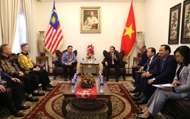 Phó Thủ tướng Trần Hồng Hà tiếp lãnh đạo một số hiệp hội, doanh nghiệp Malaysia