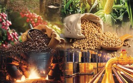 THỊ TRƯỜNG HÀNG HÓA: Rung lắc sau quyết định của Fed