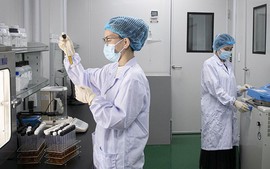 Cơ chế, chính sách thu hút chuyên gia khoa học, công nghệ, đổi mới sáng tạo và chuyển đổi số