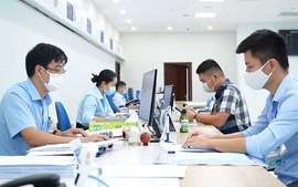 Xếp lương viên chức sau thời gian tập sự