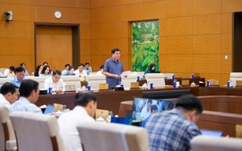 Định vị rõ Luật Thương mại điện tử trong hệ thống pháp luật