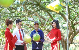 Agribank triển khai tín dụng xanh, góp phần thực hiện mục tiêu phát thải ròng bằng ‘0’
