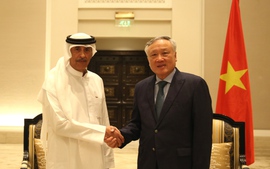 Phó Thủ tướng Thường trực Nguyễn Hòa Bình tiếp một số doanh nghiệp lớn của UAE