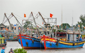 Nhiều tỉnh, thành kêu gọi tàu thuyền vào nơi tránh trú bão an toàn