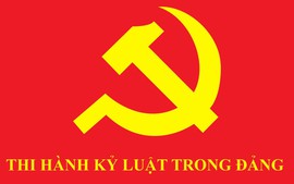 Bộ Chính trị, Ban Bí thư xem xét, thi hành kỷ luật tổ chức đảng, đảng viên vi phạm