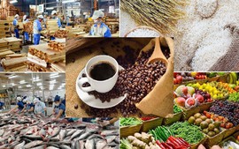 Hoàn thiện Hồ sơ Đề án đánh giá tình hình thực hiện Nghị quyết số 19-NQ/TW về nông nghiệp, nông dân, nông thôn