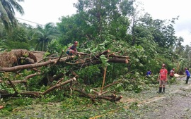 Bão Bualoi (số 10) quét qua Philippines, gây thiệt hại nặng nề