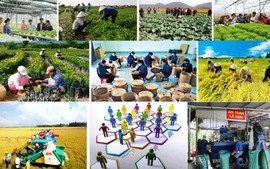 Quy định mới về thành lập Quỹ hợp tác xã địa phương hoạt động theo mô hình hợp tác xã