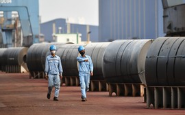 EU không áp thuế chống bán phá giá với thép cuộn cán nóng Hòa Phát