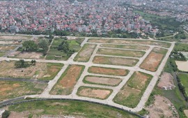 Đấu giá đất: Áp dụng bảng giá hay giá cụ thể?