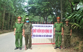 Miền Trung kiểm soát dịch tả lợn châu Phi, hướng dẫn người dân tái đàn an toàn