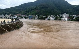 Nguy cơ lũ đặc biệt lớn trên sông Thao, Bộ Xây dựng phát công điện khẩn