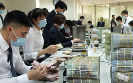 Đề xuất quy định mới về hệ thống kiểm soát nội bộ của tổ chức tín dụng là hợp tác xã, tổ chức tài chính vi mô