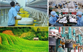 Phê duyệt Chương trình phát triển ngành công nghiệp môi trường Việt Nam giai đoạn 2025-2030