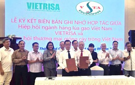 Khoa học công nghệ nâng tầm hạt giống lúa gạo Việt Nam