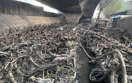 Khẩn trương làm rõ nguyên nhân, xử lý trách nhiệm vụ cháy bãi trông giữ xe dưới gầm cầu Vĩnh Tuy
